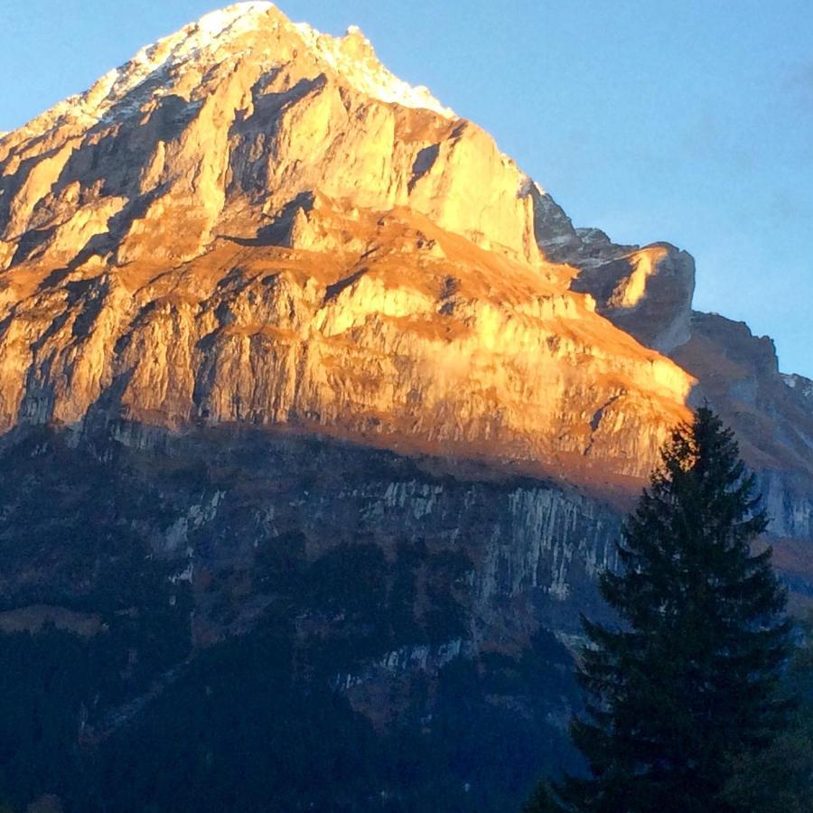 Eiger, Jungfrau, Luxury Garden Apartment Grindelwald Kültér fotó