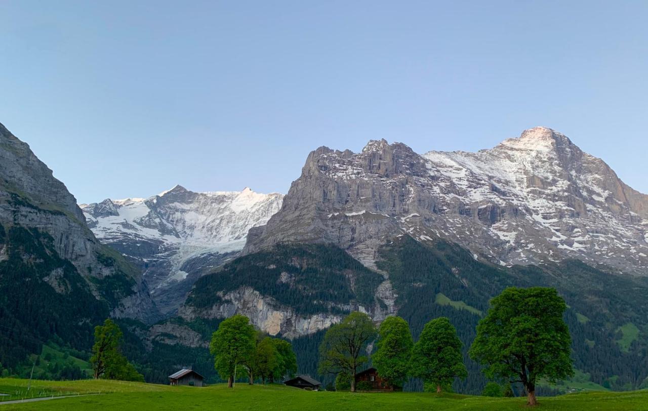 Eiger, Jungfrau, Luxury Garden Apartment Grindelwald Kültér fotó