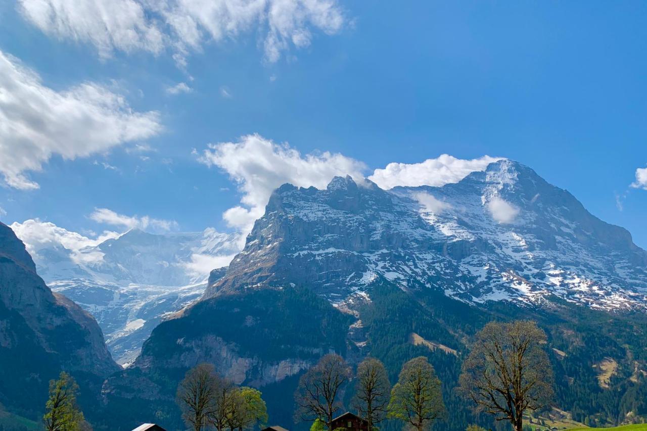 Eiger, Jungfrau, Luxury Garden Apartment Grindelwald Kültér fotó