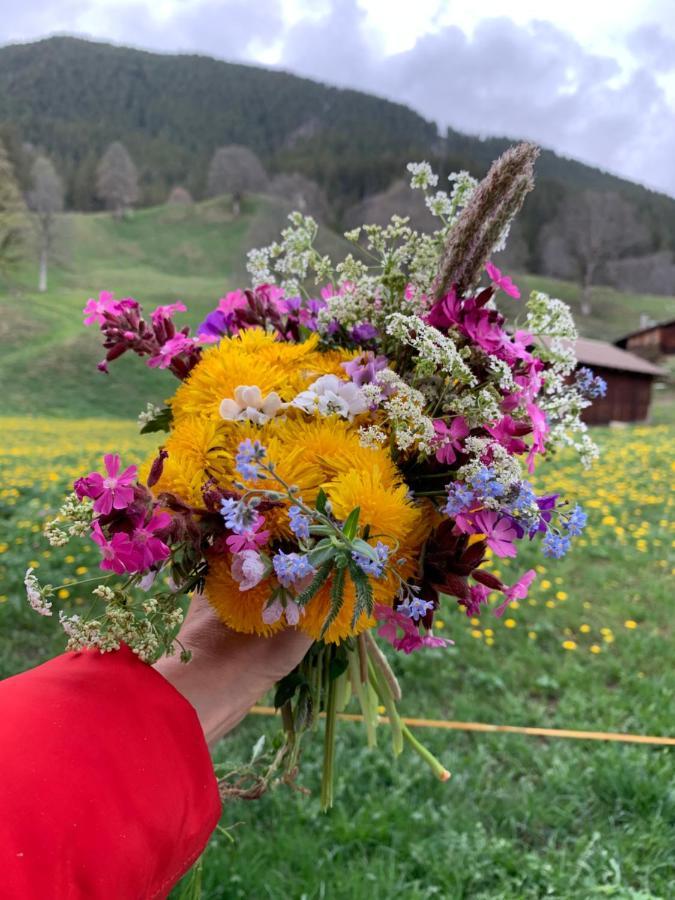 Eiger, Jungfrau, Luxury Garden Apartment Grindelwald Kültér fotó